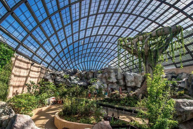 Malaysia: Discover Nature's Wonders with Entopia Entry Ticket - The Experience at Entopia: What You Can Expect