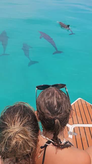 Maldives, Dhiffushi Shared Sunset Dolphin Cruise - The Experience in Detail