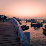 Mancora: Puerto Pizarro - Tour Mangrove Mysteries - Who Will Love This Tour?