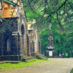 Mcleodganj Nature Trek (3 Hours Guided Walking Tour) - How the Tour Works: Structure and Value