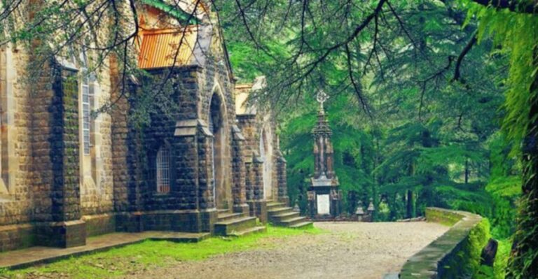 Mcleodganj Nature Trek (3 Hours Guided Walking Tour) - How the Tour Works: Structure and Value