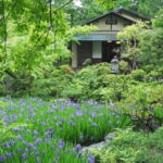 Meiji Jingu Shrine; Aoyama; Art Museums and Walking Tours - A Close Look at Each Stop: What You Can Expect and Why It Matters