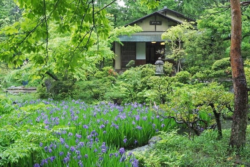 Meiji Jingu Shrine; Aoyama; Art Museums and Walking Tours - A Close Look at Each Stop: What You Can Expect and Why It Matters