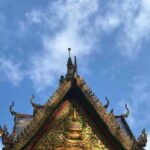 Mekong Delta Real Local Life Experience - Final Thoughts: Who Is This Tour For?