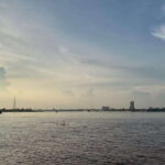Mekong Delta Sightseeing Cruise Tour With Saigon Night Views - Practical Details & Tips