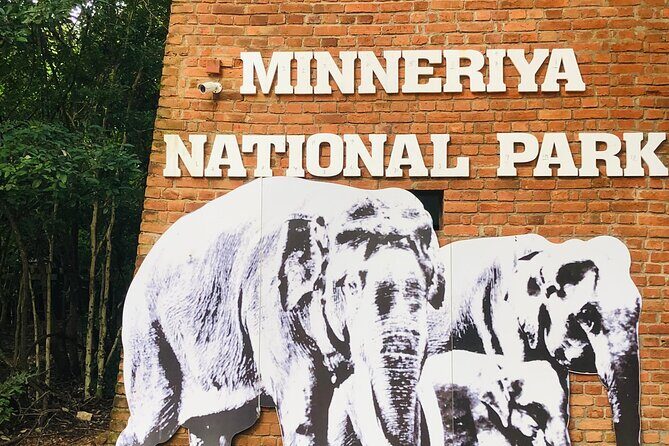 Minneriya Half Day Safari - Authentic Experiences and Reviews That Speak Volumes