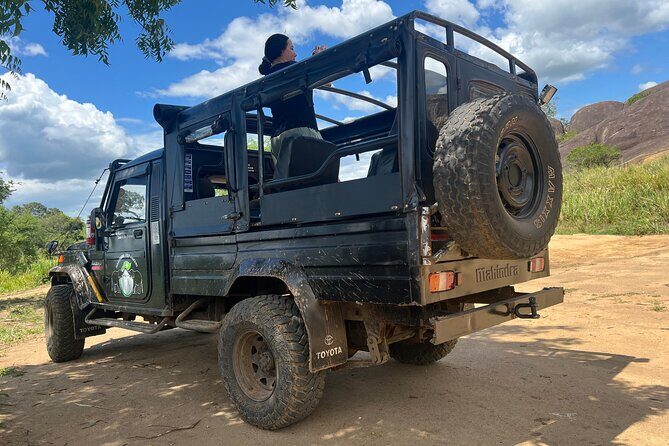 Minneriya National Park Elephant Safari from Sigiriya - Who Should Consider This Tour?