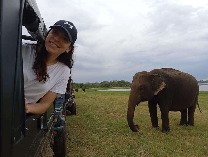 Minneriya National Park: Private Safari with Hotel Pick-up - What to Expect During the Safari