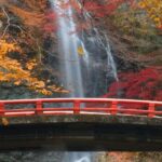 Minoo Park Private Tour: Nature, Temples, and Coffee Bliss - Visiting the Serene Ryuanji Temple