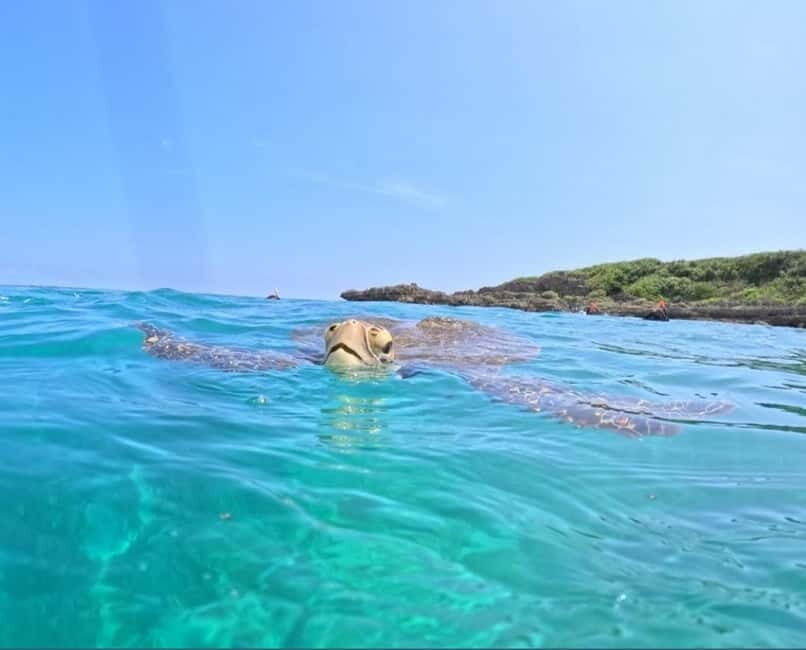 Miyako Island: English speaking SUP Tour - Itinerary Breakdown