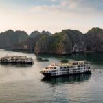 Mon Chéri Cruise 5 star: Unique 2 Days Tuan Chau - Halong bay - Lan Ha Bay - Authentic Experiences: Insights from Past Travelers