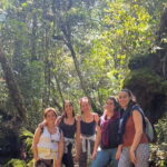 Mossy Forest in Brinchang Tour - The Value of a Guided Experience