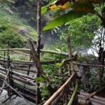 Mount Doi Inthanon National Park Sunrise and Hiking - Transportation and Timing