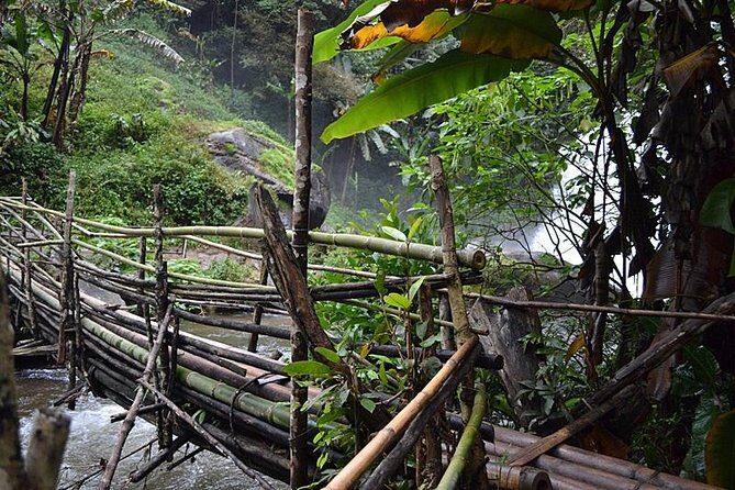 Mount Doi Inthanon National Park Sunrise and Hiking - Transportation and Timing