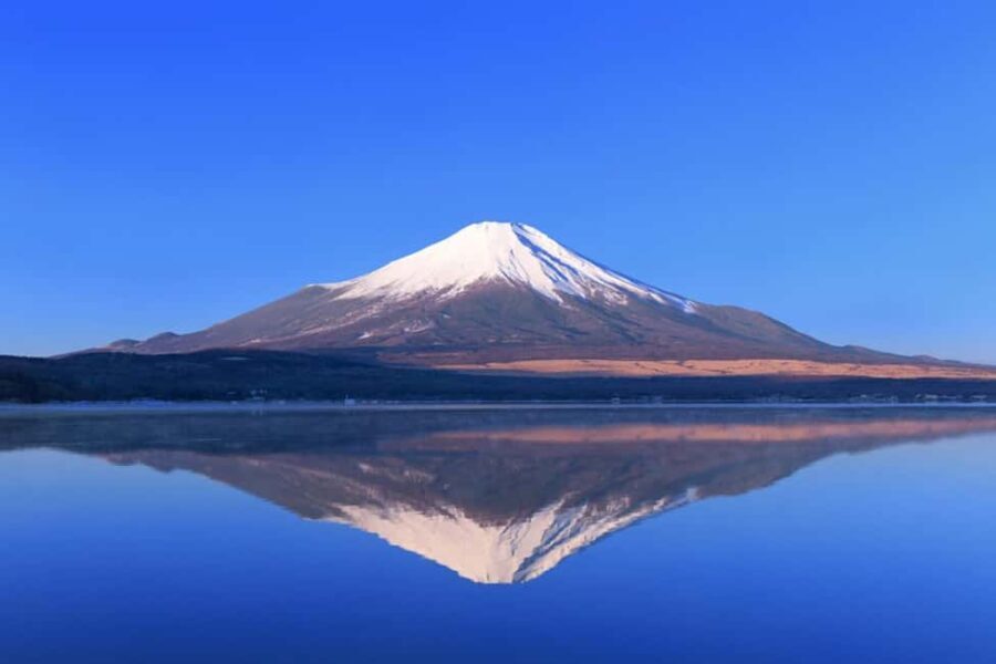 Mount Fuji 1-Day Trip: the Hottest Photography Tour - The Transport and Logistics