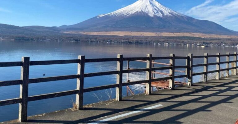 Mount fuji and Hakone day tour with English speaking guide - Optional Add-Ons: Hakone’s Volcanic Wonders and Scenic Cruises
