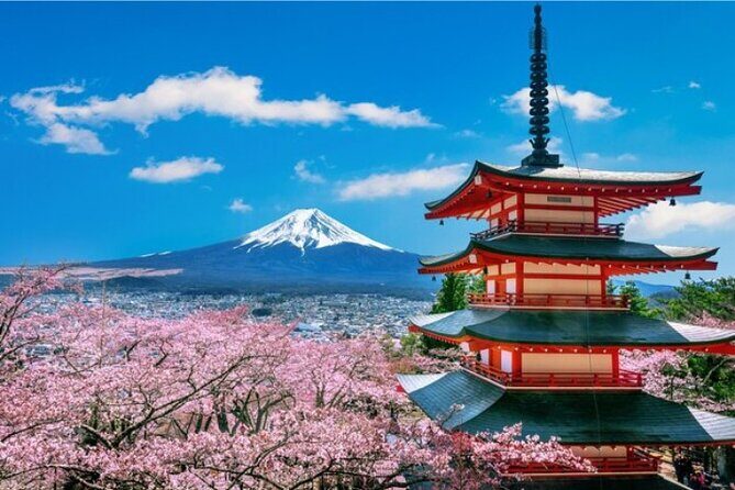 Mount Fuji and Hakone Private Tour by Car with Pickup from Tokyo - Who Is This Tour Perfect For?