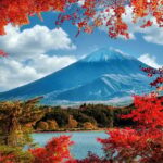 Mount Fuji and Hakone Tour with Personal Driver & Transport - Authentic Experiences and Practical Insights
