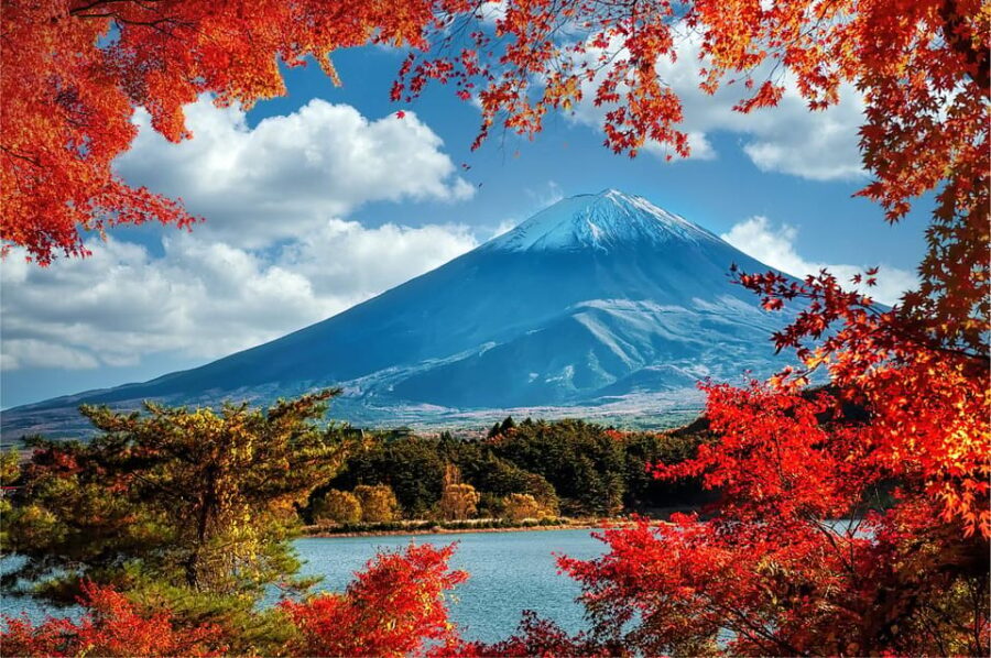 Mount Fuji and Hakone Tour with Personal Driver & Transport - Authentic Experiences and Practical Insights