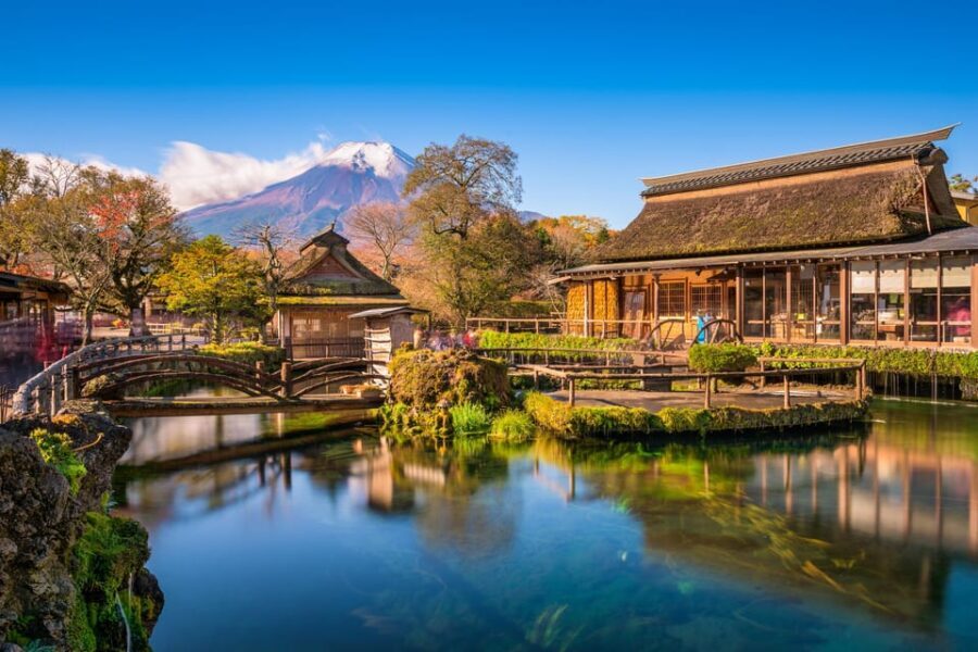 Mount Fuji: Exclusive Private Car Tour - Who Will Love This Tour?