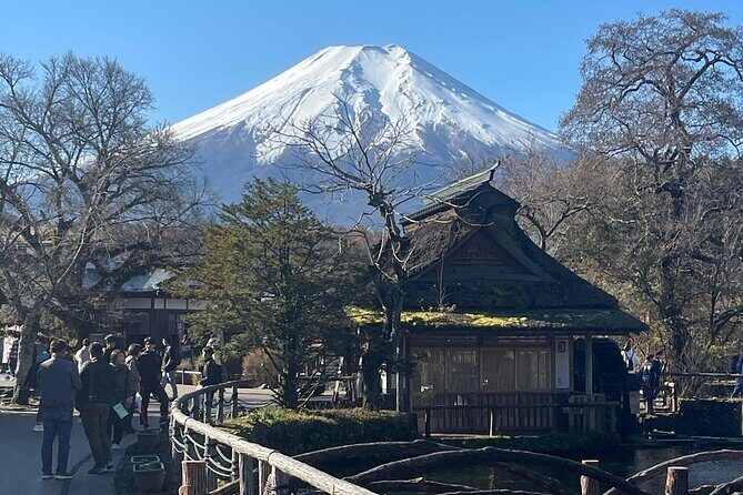 Mount Fuji Full Day Customize Private Tour with English Guide - Who Would Love This Tour?