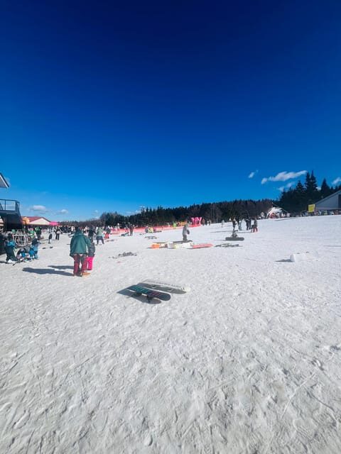 Mount Fuji Full-Day Private Customizable Tour From Tokyo - The Practical Details and Value