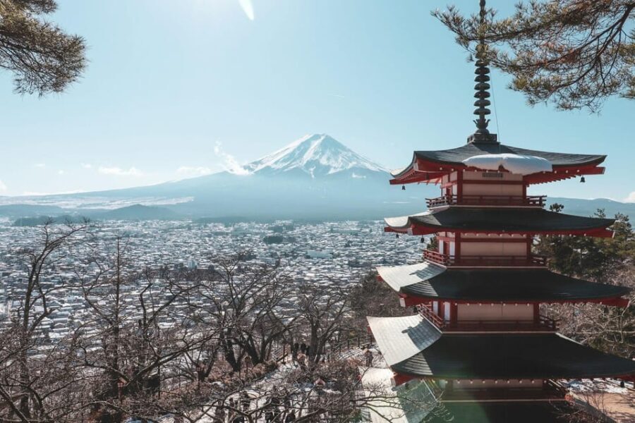 Mount Fuji Full-Day Private Sightseeing Tour with Guide - A Day in the Life: What to Expect