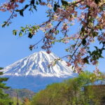 Mount Fuji Full-Day Private Tour from Tokyo (Customizable) - FAQ