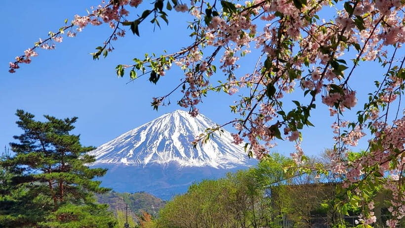 Mount Fuji Full-Day Private Tour from Tokyo (Customizable) - FAQ