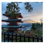 Mount Fuji Full Day Private Tour from Tokyo Full Customized - Who Is This Tour Perfect For?