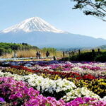 Mount Fuji & Hakone Full-Day Private Tour (Customizable) - Starting from Tokyo
