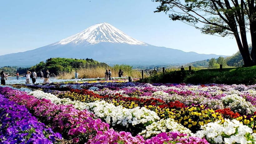 Mount Fuji & Hakone Full-Day Private Tour (Customizable) - Starting from Tokyo