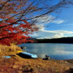 Mount Fuji & Hakone Private Tour with Bullet Train Return - Discovering Mount Fuji & Hakone: An Overview