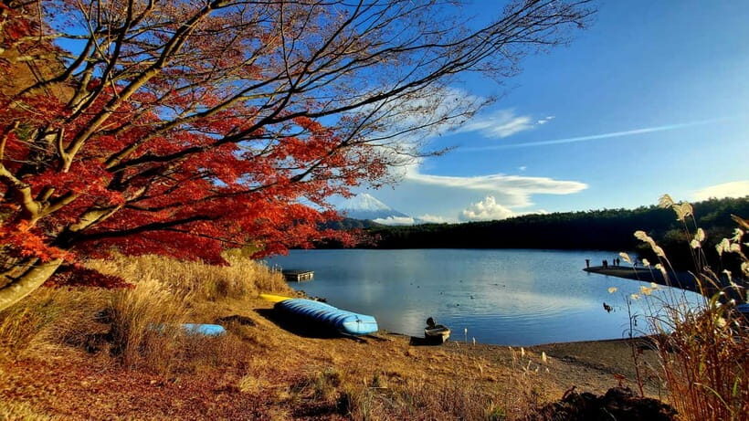 Mount Fuji & Hakone Private Tour with Bullet Train Return - Discovering Mount Fuji & Hakone: An Overview