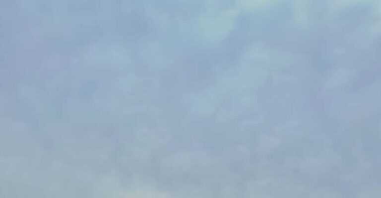 Mount Fuji Hakone with English-speaking Guide - Is This Tour Worth It?