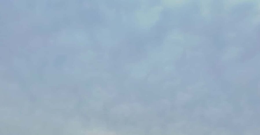 Mount Fuji Hakone with English-speaking Guide - Is This Tour Worth It?