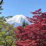 Mount Fuji & Lake Kawaguchi Day Trip with English-speaking Driver - Who is This Tour Best For?