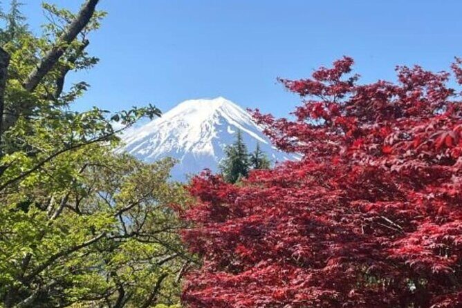 Mount Fuji & Lake Kawaguchi Day Trip with English-speaking Driver - Who is This Tour Best For?