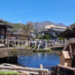 Mount Fuji Private Tour from Tokyo with English Speaking Driver - What’s Included and What’s Not