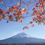 Mount Fuji Private Tour With English Speaking Driver - Authentic Insights from Reviewers