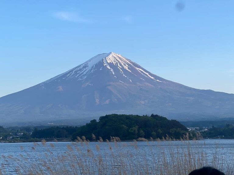 Mount Fuji Private Tour With English Speaking Driver/Guide - A Deep Dive into the Experience