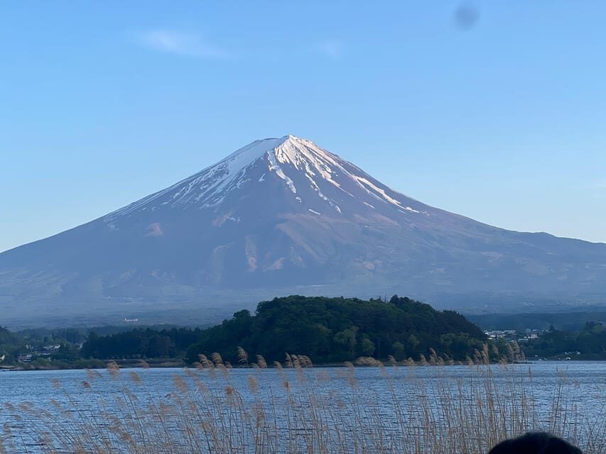 Mount Fuji Private Tour With English Speaking Driver/Guide - A Deep Dive into the Experience