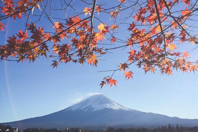 Mount Fuji Private Tour With English Speaking Driver - Authentic Insights from Reviewers