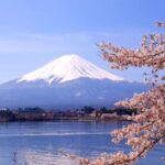 Mount Fuji Pvt. Full Day Trip with English-Speaking Driver - The Realities of the Tour: Pros and Cons