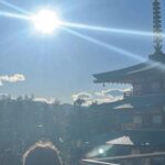 Mount Fuji Sightseeing tour with English speaking guide - The Sum Up