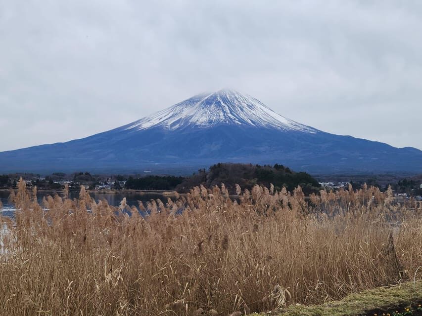 Mt Fuji and Hakone Private Tour With English Speaking Driver - Detailed Breakdown of the Itinerary