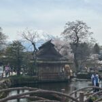 Mt. Fuji & Hakone Private Tour T/F Tokyo, Yokohama up to 12 - An In-Depth Look at the Mt. Fuji & Hakone Private Tour