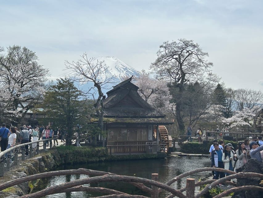 Mt. Fuji & Hakone Private Tour T/F Tokyo, Yokohama up to 12 - An In-Depth Look at the Mt. Fuji & Hakone Private Tour