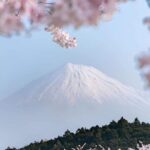 Mt Fuji Private Tour with English speaking driver - What’s the Value?