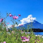 Mt. Fuji Private Tour With Hotel Pick Up From Tokyo - The Value of This Experience: Breaking Down the Cost